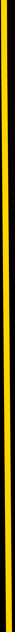 Body Border Left