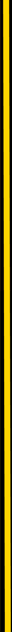 Body Border Right
